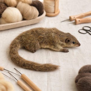 Realistic Tree Shrew Small Mammal Needle Felting Kit Pure Wool Woodland DIY Ornament