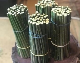 Esquejes de sauce negro (Salix Nigra), árbol ornamental, material para bonsái, 12 unidades sin raíces.