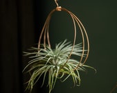 Copper air plant hanger, air plant wall, hanging plant holder, display, plant lover gift, minimalist planter, tillandsia planter