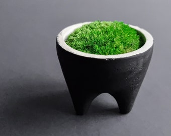 Moss bowl, super miniature three-legged ceramic moss pot, zen garden kit with Torii gate and ritual well, moss garden