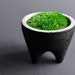 see more listings in the Mini Zen garden section