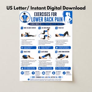 May include: A US Letter digital download poster titled Exercises for Lower Back Pain. It features six illustrated exercise steps: Knee-to-Chest, Cat-Cow, Pelvic Tilt, Child's Pose, Glute Bridge, and Lower Trunk Rotation, with text instructions.