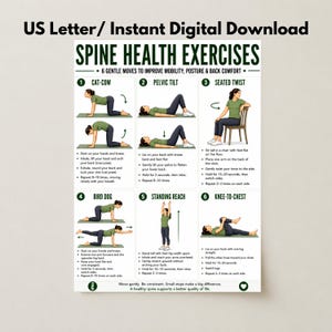 Spine Health Exercises Poster, US Letter Printable, Back Mobility Exercise Chart, Posture Improvement Guide, Physical Therapy Wall Art