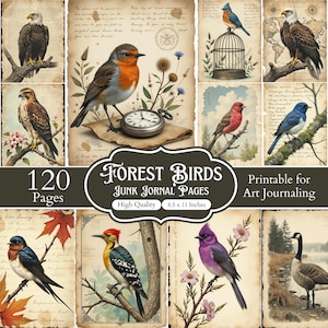 120 Forest Birds Junk Journal Pages Bundle, Vintage Birds Junk Journal Kit, Exotic Bird Scrapbook Papers, Nature Ephemera Printable Pages