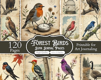 120 Forest Birds Junk Journal Pages Bundle, Vintage Birds Junk Journal Kit, Exotic Bird Scrapbook Papers, Nature Ephemera Printable Pages