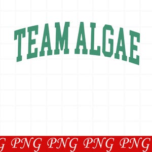 Team Algae Reflecting Pool Png, Anti Trump Merch, 8647, Kampf gegen Faschismus, Schafft Eis ab, isst die Reichen, keine Könige, DC-Protest, 250-jähriges Jubiläum
