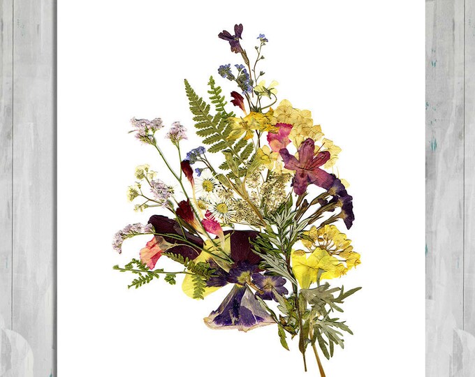 Pressed flower art Botanical prints Dried flower by FloralCollage