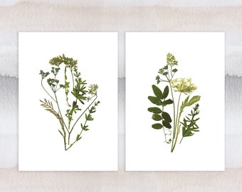 Set of 2 print Herbarium Botanical prints Unframed prints Pressed flower art Set of prints Dry flower print Wall art set botanical art plant