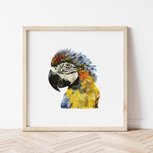 Stampa di fiori pressati di pappagallo, stampa di uccelli 8''x8'', Ara blu e oro, stampe artistiche da parete con la natura, pappagalli floreali pressati, stampe artistiche da parete con fiori secchi