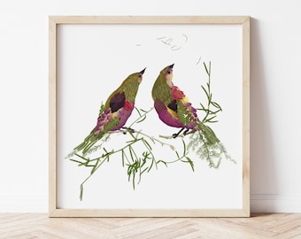 Impresión de arte de pared Impresión botánica Arte original de flores prensadas Pájaros del amor Ilustración de arte de pared Impresiones de pájaros Decoración de pared enmarcada Flores secas
