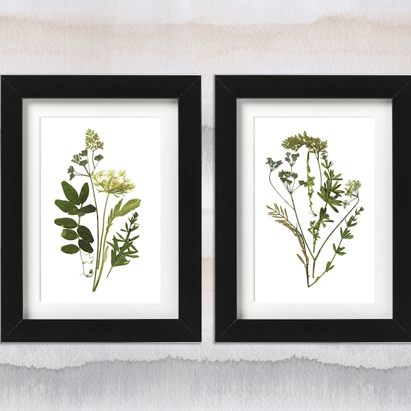 Framed Set of 2 herbarium botanical prints artworks Real pressed flowers Modern wall art Dry flower decor Unique art set framed wall art