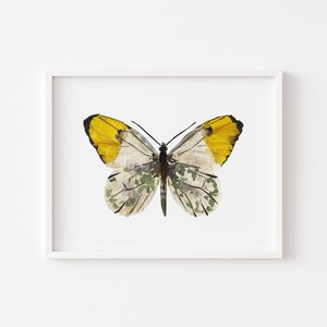 Butterfly wall art Botanical print Wall decor art print Pressed flowers butterfly art Dried flowers Butterfly painting Insects pictures