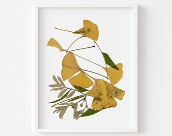 Birds art, Pressed flower print, pressed plants tropical  bird, Dried flower, nature print, Botanical poster, Bird art print, Gingo leaves