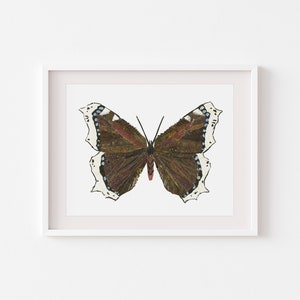 FRAMED butterfly print, Butterflies pictures dried flowers Wall art decor Butterfly crafts wall art, Pressed flowers