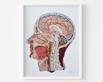 Anatomy print, Flower head art, Pressed flowers art, Medical decor,  Anatomy Wall Prints, Educational Medical Print