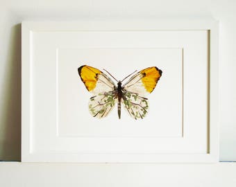 Butterfly wall art Botanical print Wall decor art print Pressed flowers butterfly art Dried flowers Butterfly painting Insects pictures