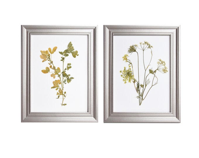 Framed herbarium set of 2, Pressed flower art framed, Dried flowers frames, wall art floral, wall art flowers, botanical leaves picture