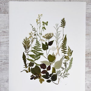 Gerahmte Botanische Druck Set Gepresste Blume Kunst Herbarium Etsy