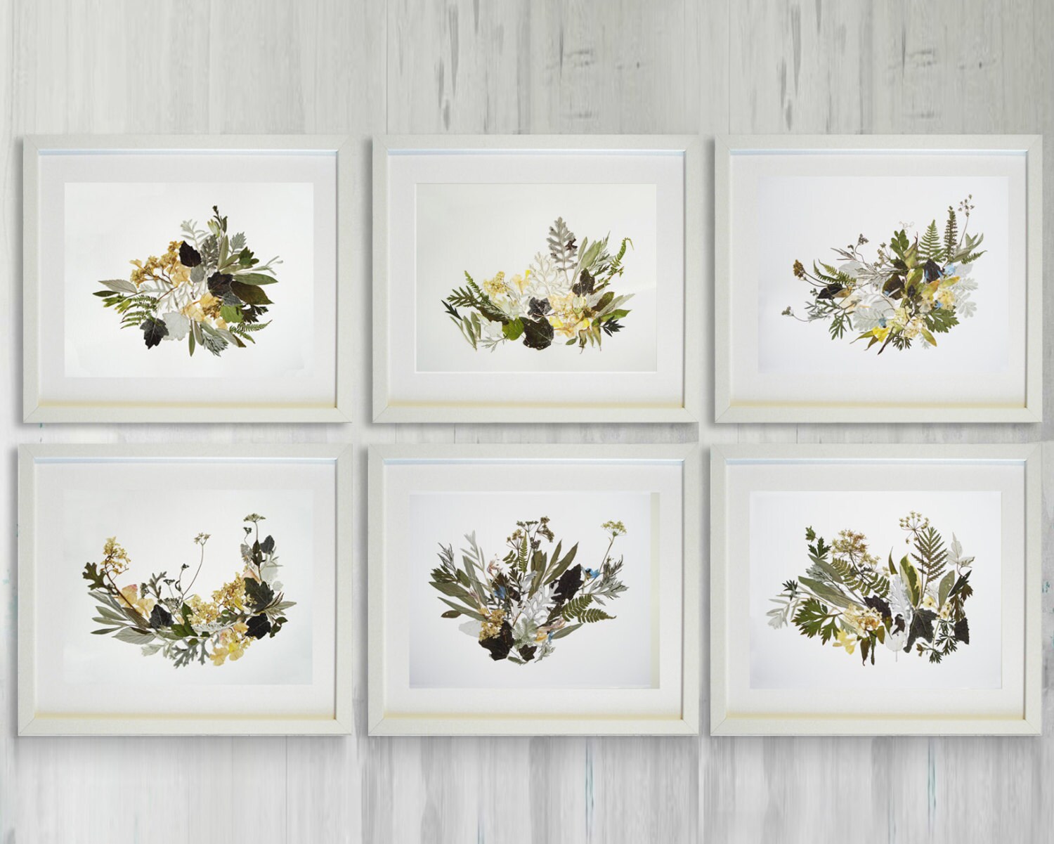 Dried Seek, Dried Flowers, Botanical Home Decor, Seed Stalks. Natural – Art  Painting Canvas