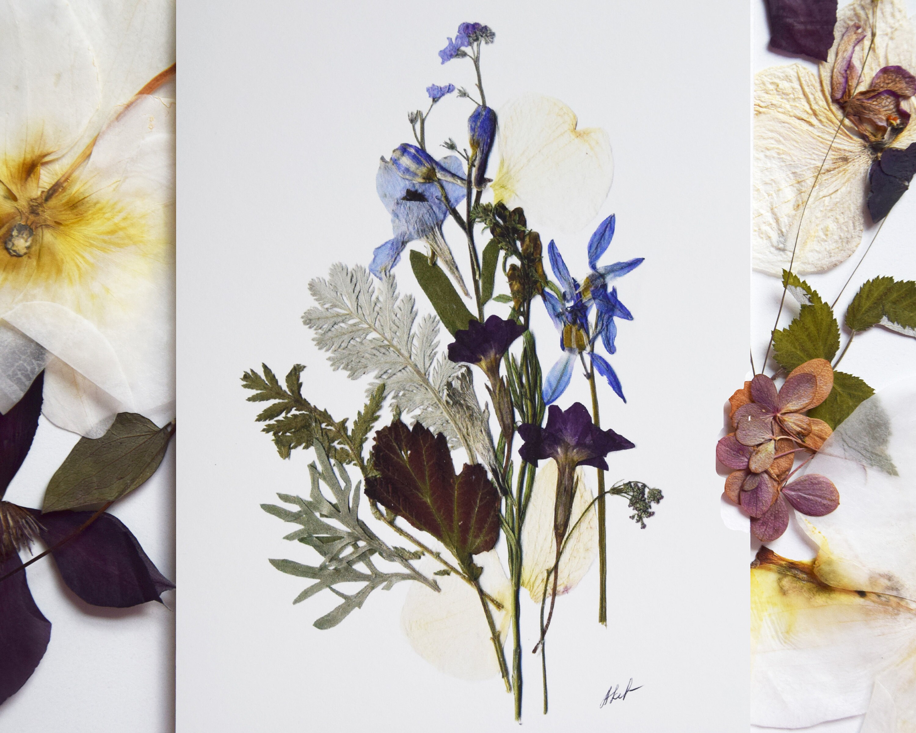 Botanical Print 5''x7'' Botanical Art Dried Etsy