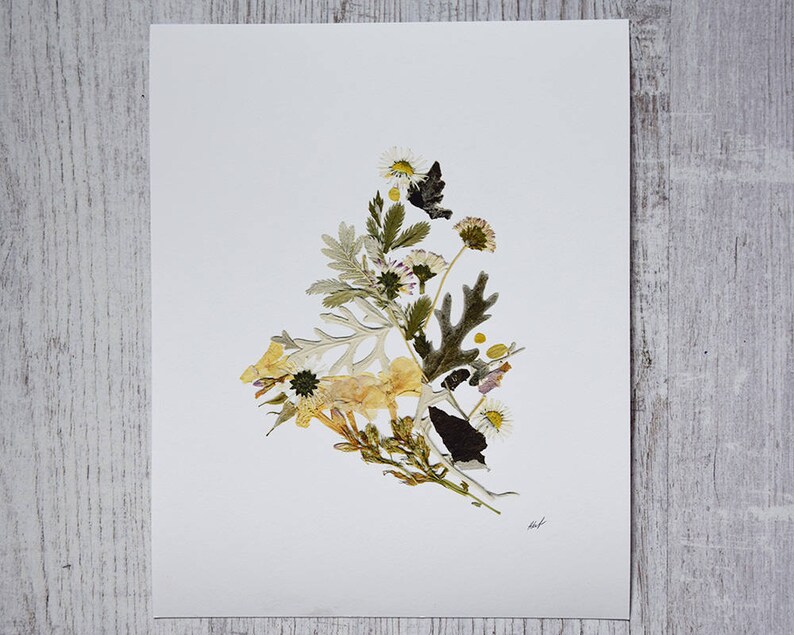 May include: A pressed flower art print featuring a variety of dried flowers and leaves arranged in a triangular shape on a white background. The flowers are mostly white and yellow, with some green leaves and a few brown accents.