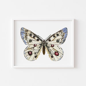 Butterfly print, Blue Pressed flower butterfly artwork, Dried flowers art, Butterfly from flowers, Dried flower art, Floral wall decor