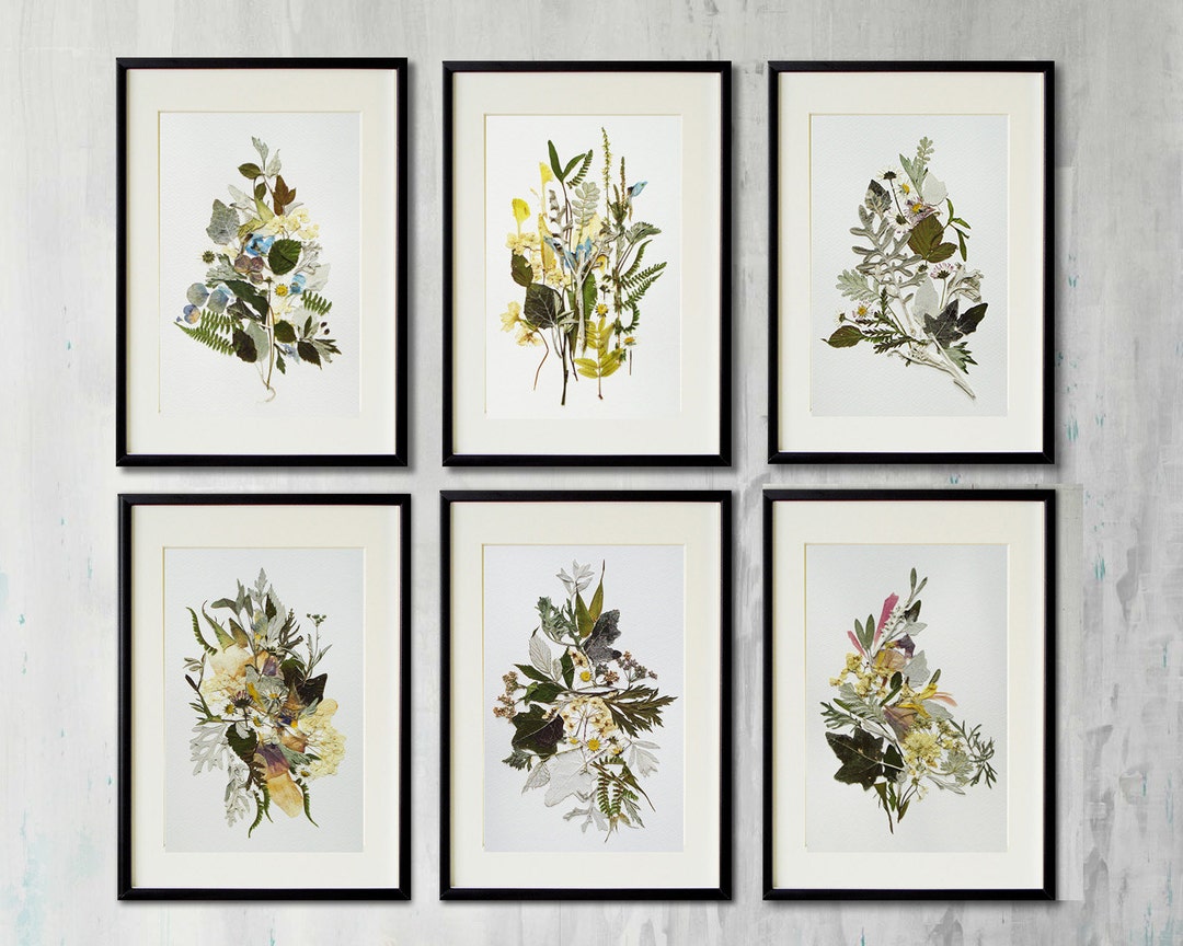 Set of 6 Botanical Prints Artworks Collection Contemporary Art Dried ...