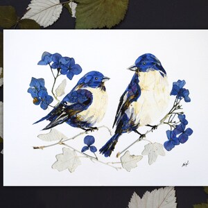 Bluebirds pressed flower print, birds flower print, Nature art, Love and birds art, Dried flowers wall art, Floral birds decor