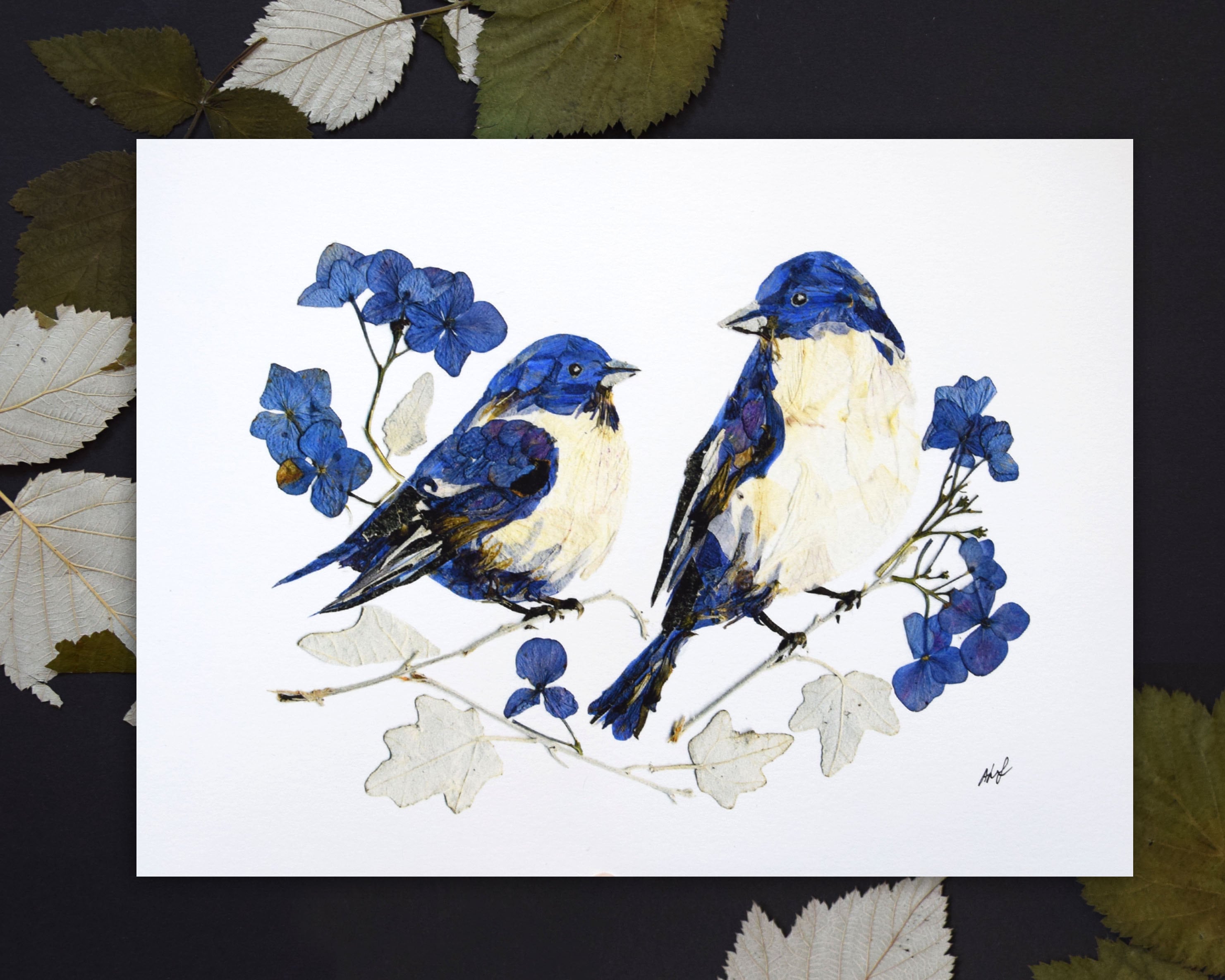 ブルーバードの押し花プリント、鳥の花のプリント、自然アート、愛と鳥