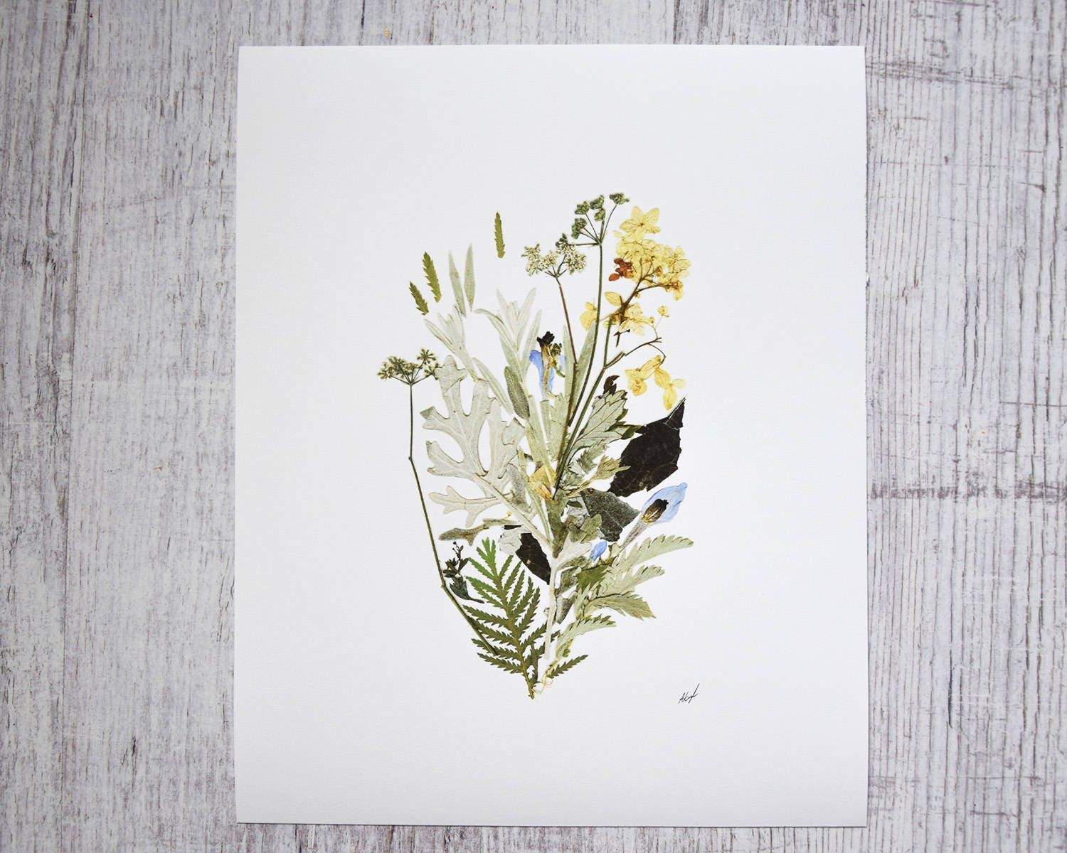 Botanical print Plant art Pressed leaves art botanical | Etsy