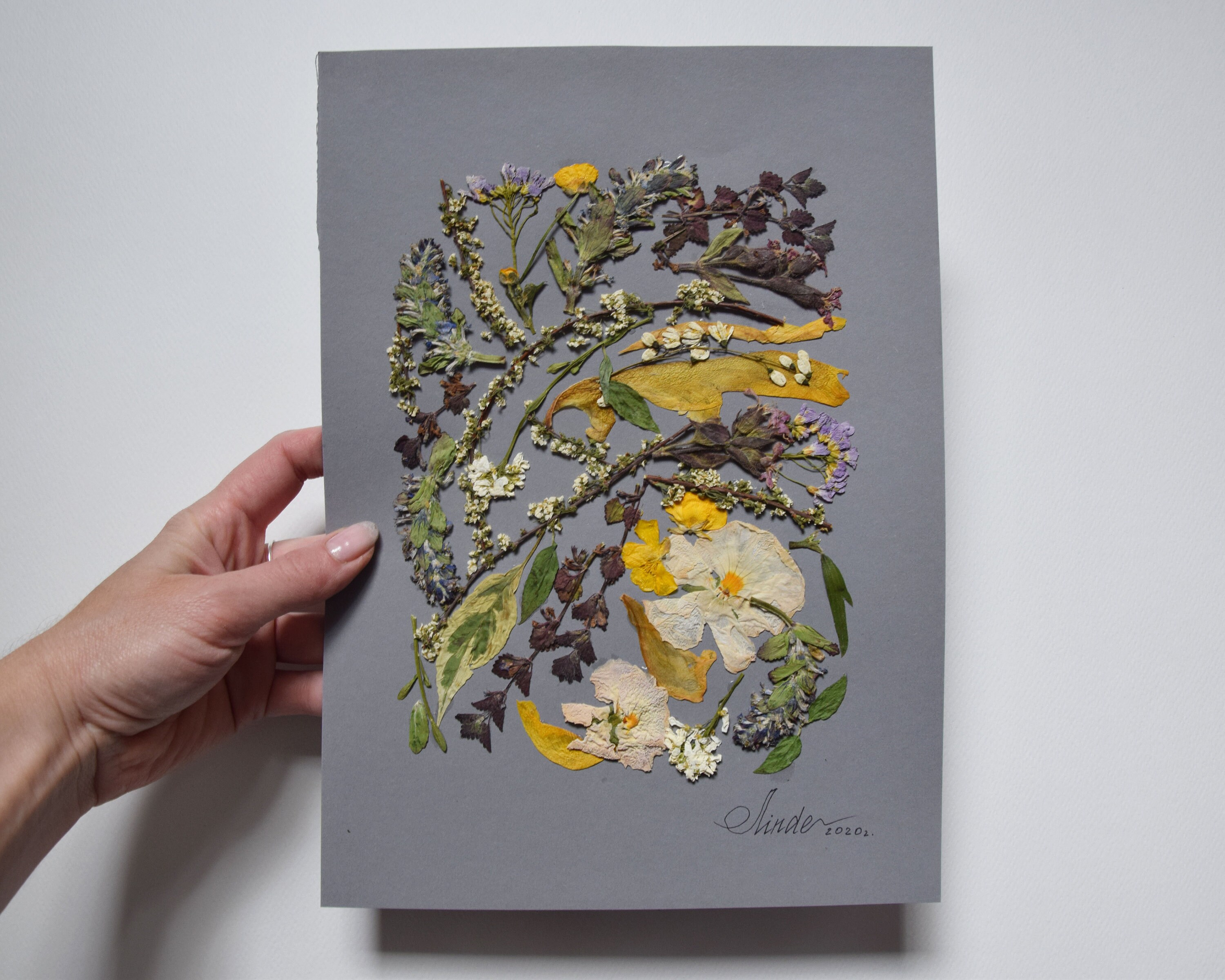 Botanical art. Floral artwork. Dried flowers, Picture of pressed