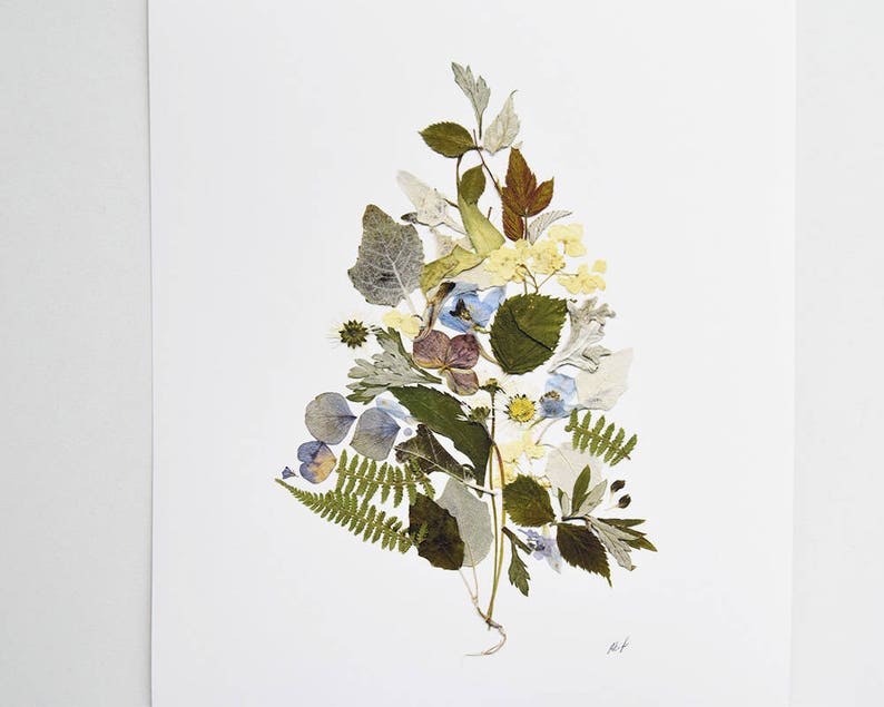 Botanical Print Pressed Flower Print Herbarium Dried Flowers Etsy