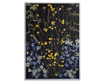 Fleurs pressées encadrées : oeuvres d'art botaniques bleues et jaunes