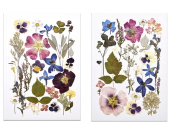 Dried flowers wall art set of 2, botanical prints, Pressed flowers prints, Plants pictures, Herbarium set, flowers decor, floral wall art