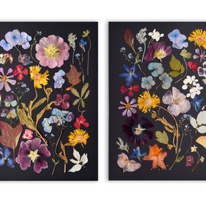 PRINTS set of 2 pressed flowers herbarium prints, Dried flowers art, Botanical art, Plant PRINTS, Flowers picture