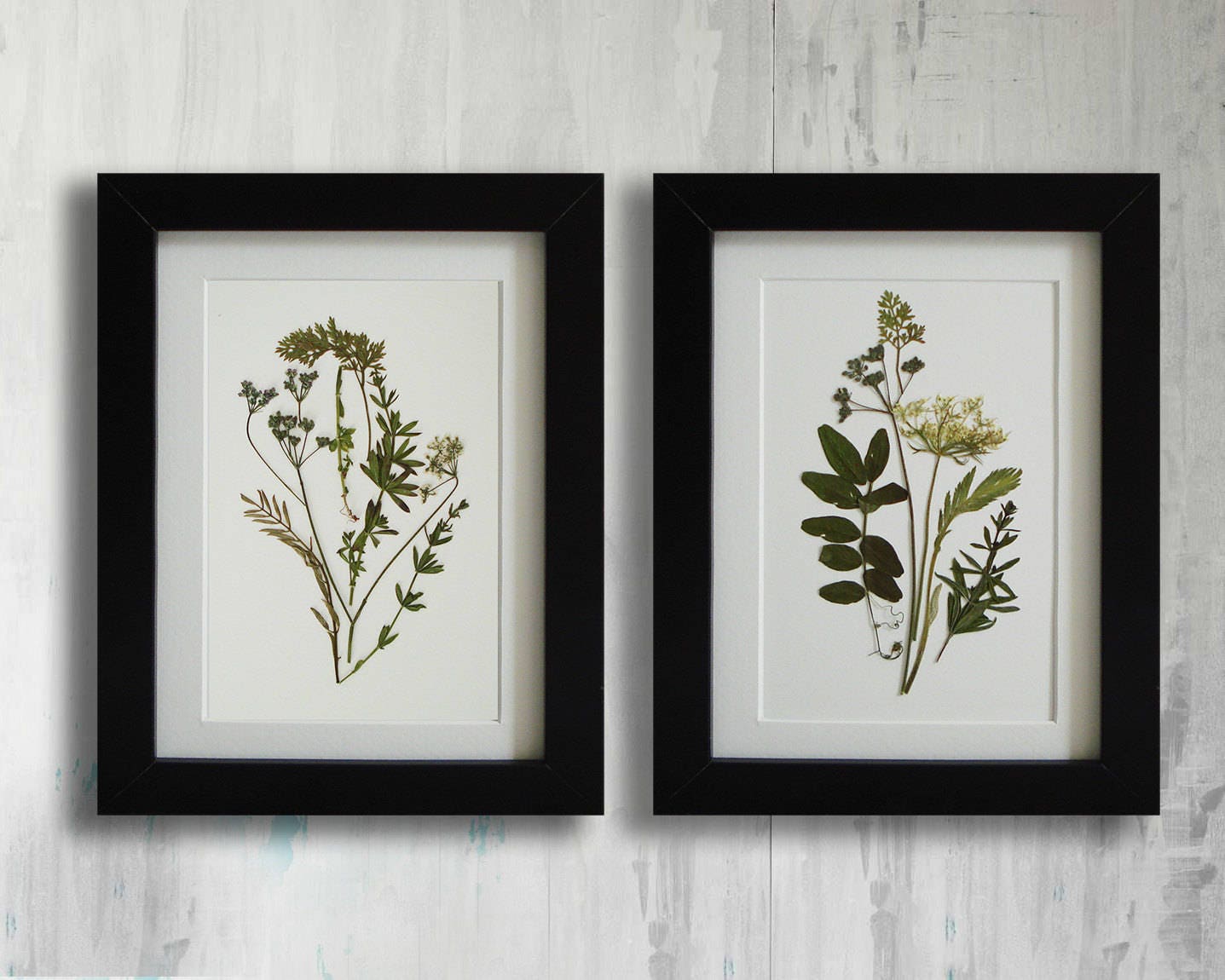 Set of 2 print Herbarium Botanical prints Unframed prints Etsy