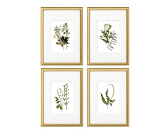 Framed Botanical Prints Set: Gold Frame Herbarium Art
