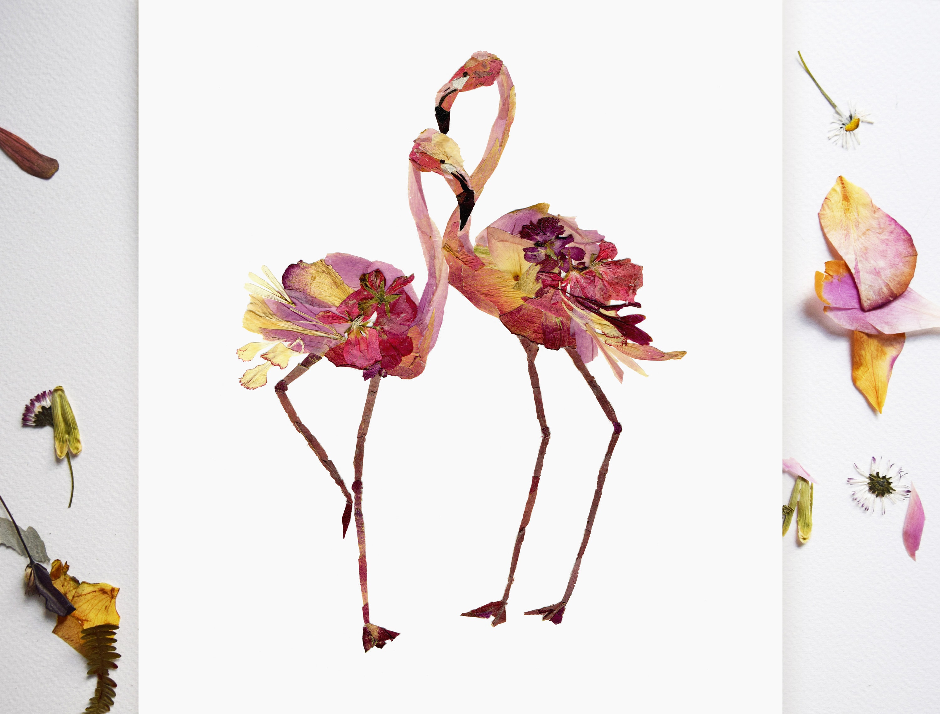 Flamingo art Print Pressed flower art Dry flower arrangement Botanical  Dried flowers Flamingo print Pink flamingos Pressed flowers wall art