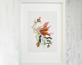 Print Dry flower artwork Bird print Flower illustration Firebird Pressed flower picture Frame pressed flower wall art herbarium Flower print