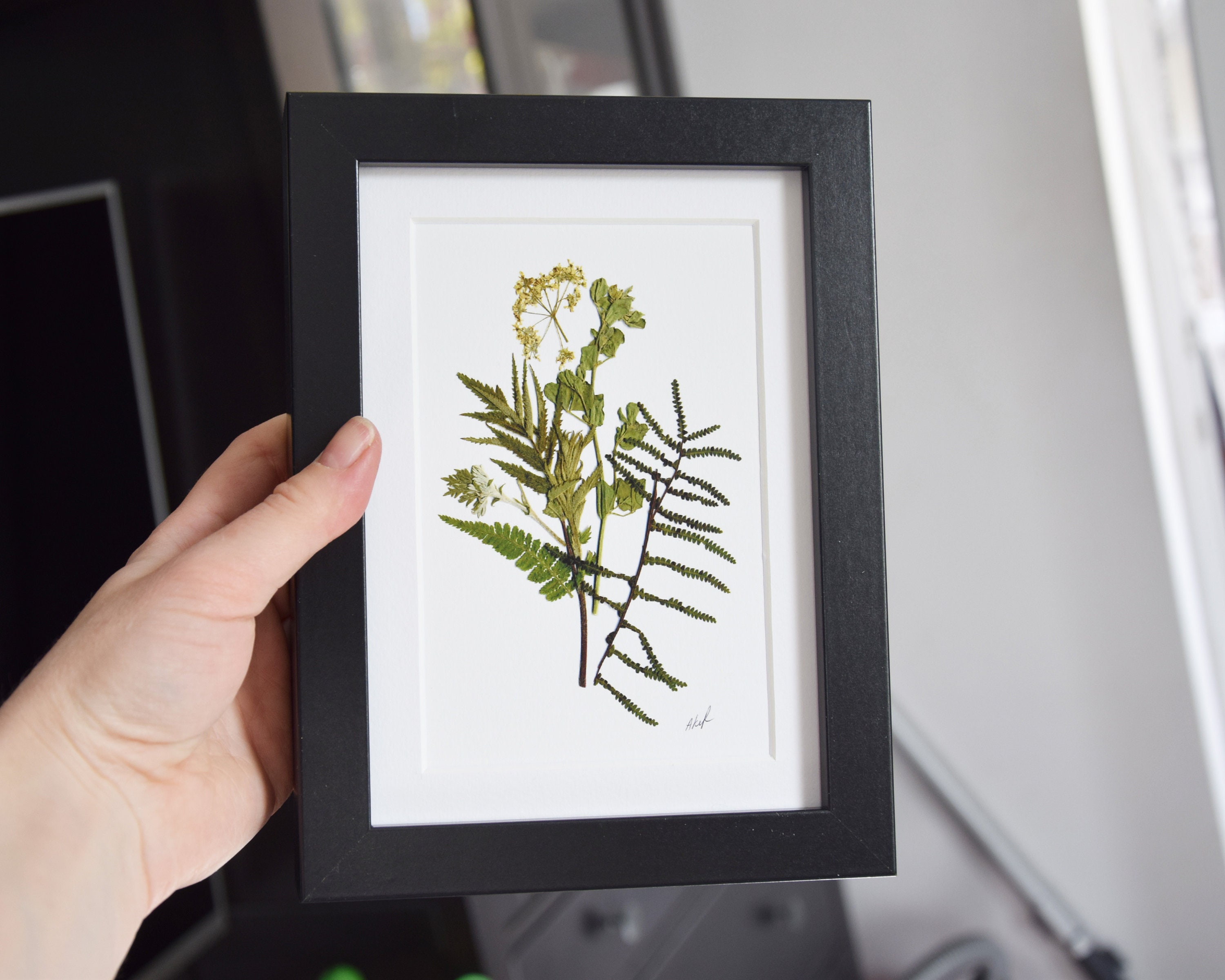 Vintage natural dried flowers, herbarium picture under glass in wood - Ruby  Lane