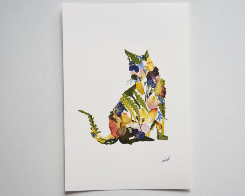 Puede incluir: Una silueta de gato colorida hecha con flores y hojas prensadas. El gato est&aacute; sentado con la cola enroscada alrededor de su cuerpo. Las flores son en tonos de amarillo, naranja, rosa, azul y verde.