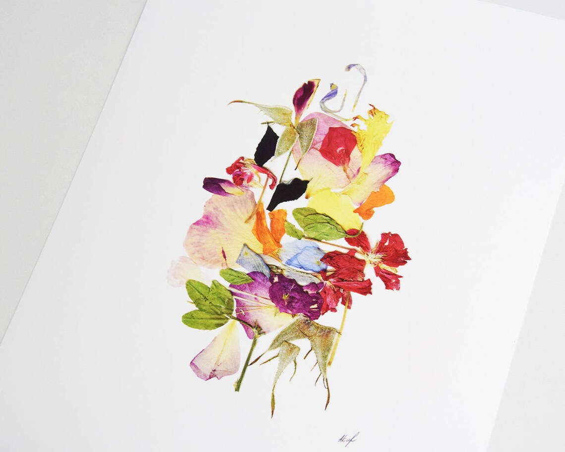 Framed set of 2 botanical print Dry flower art Botanical art Etsy