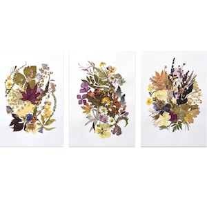 Set of 3 Dried flower artworks, Pressed flower art, Flower wall art decor, Herbarium artwork, Unique collage, Floral art, Plants picture