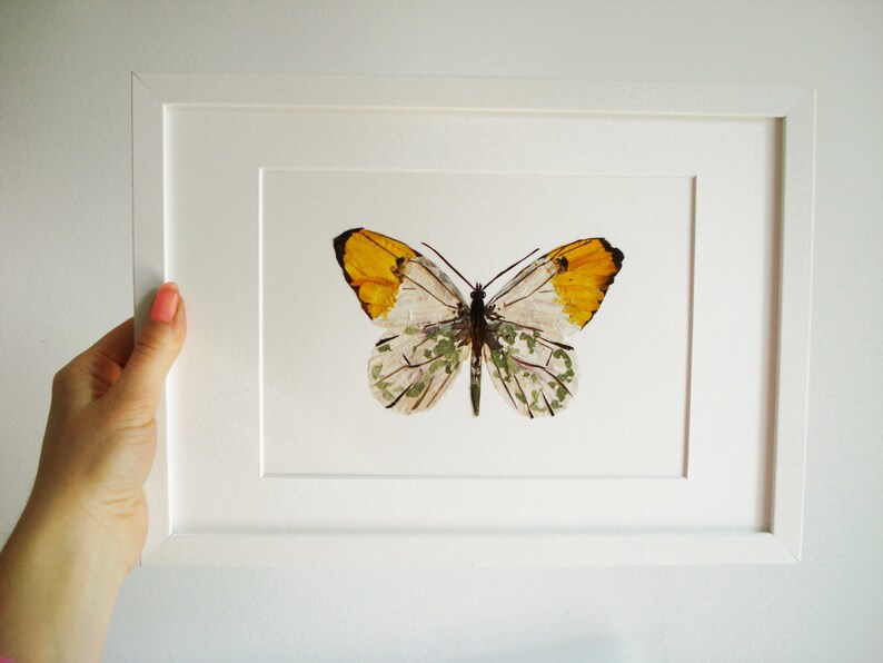 Original butterfly wall art Pressed flowers art Botanical Etsy