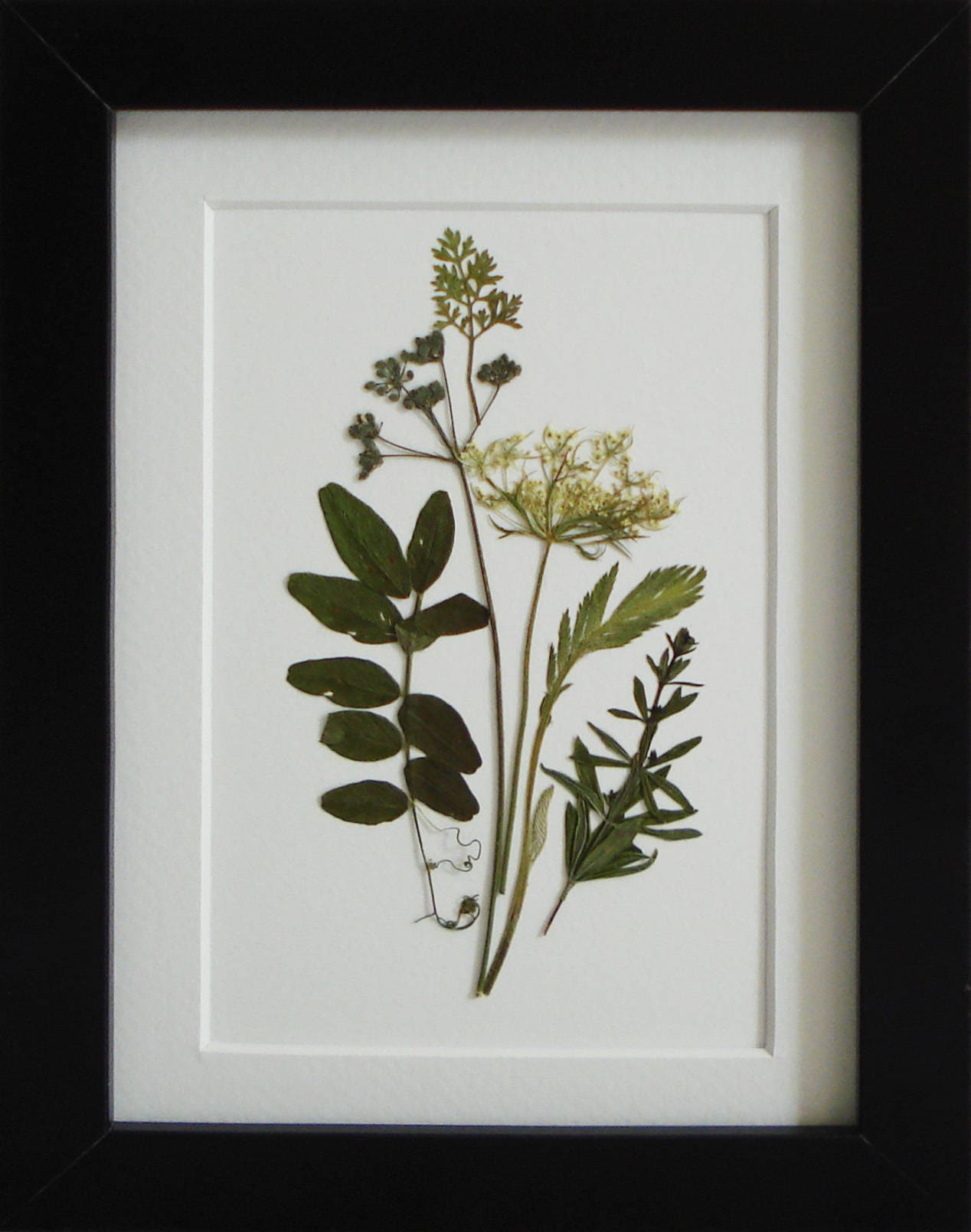 Framed botanical print Pressed flowers Modern wall art Dry Etsy
