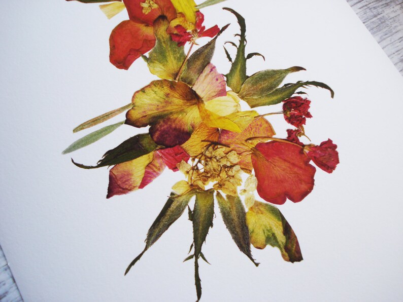 Botanical print Dry flower print Plant botanical art decor Etsy