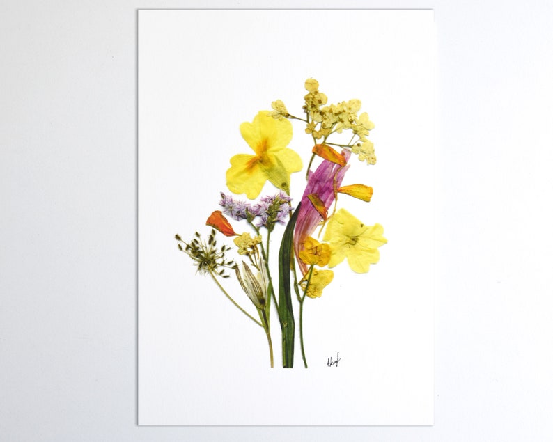 Puede incluir: Un arreglo de flores prensadas con flores amarillas, naranjas y moradas sobre un fondo blanco. Las flores est&aacute;n dispuestas en forma de ramo y est&aacute;n rodeadas de hojas verdes.