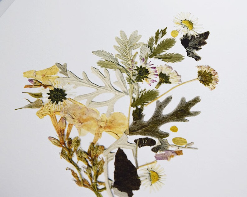 Set of 3 Framed Prints Plant Art Contemporary Art Dry Flower Etsy