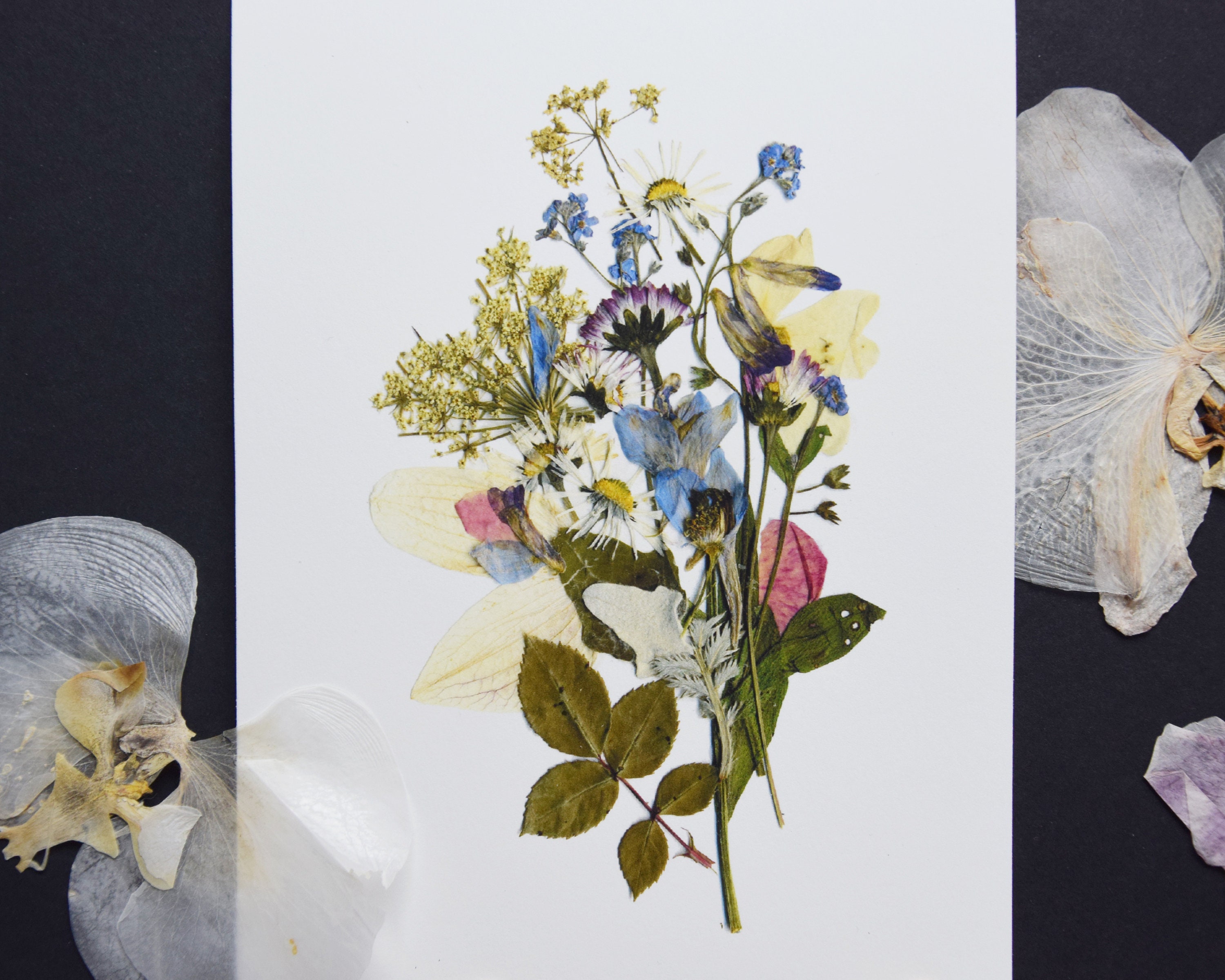 Botanical Print 5''x7'' Botanical Art Dried Etsy