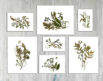 Botanical print set of 7 Plant art Set of 7 botanical prints Dried flowers prints Pressed flower art Herbarium Flower prints wall art Floral